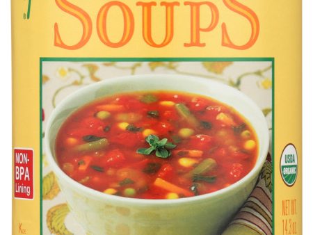 SOUP AMY S CHUNKY VEGETABLE   14.3 OZ   42272005406 For Sale