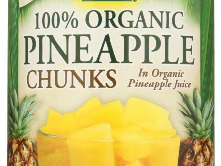 FRUIT NATIVE FOREST PINEAPPLE CHUNK   15 OZ   043182008518 Sale