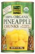 FRUIT NATIVE FOREST PINEAPPLE CHUNK   15 OZ   043182008518 Sale