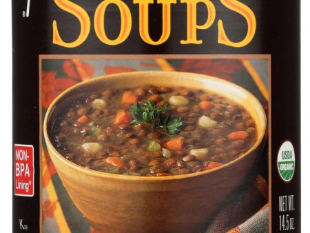 SOUP AMY S LENTIL   14.5 OZ   42272005024 on Sale