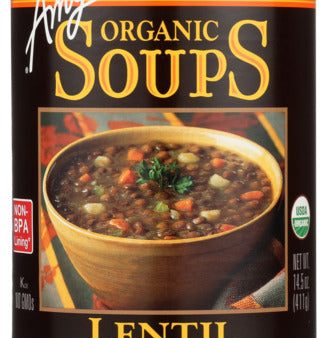 SOUP AMYS L S LENTIL     042272005833 Online Hot Sale