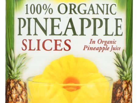 FRUIT NATIVE FOREST PINEAPPLE SLICE   15 OZ   043182008525 Supply