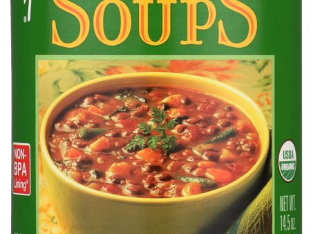 SOUP AMY S LENTIL VEGETABLE LOW SODIUM   14.5OZ   42272005826 Online