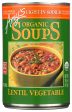 SOUP AMY S LENTIL VEGETABLE LOW SODIUM   14.5OZ   42272005826 Online