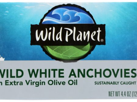 ANCHOVY WILDP OLIVE OIL     829696001203 Hot on Sale