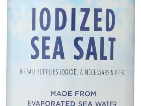 SALT HAIN SEA IODIZED   21 OZ   23254667904 Sale