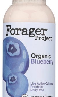 YOGURT FORAGER PROB CASHEW BLUEBERRY     814558021390 For Sale