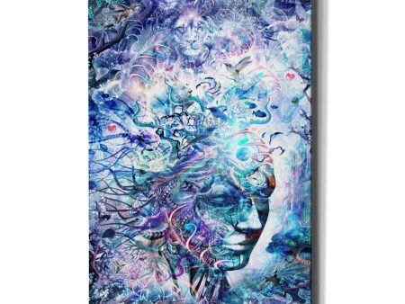 Dreams of Unity  by Cameron Gray, Canvas Wall Art Online now