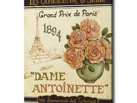 French Seed Packet II  by Daphne Brissonet, Canvas Wall Art on Sale