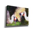 Two Cranes  by Bluebird Barn, Canvas Wall Art Cheap