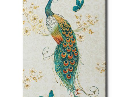 Ornate Peacock XA  by Daphne Brissonet, Canvas Wall Art Online Hot Sale