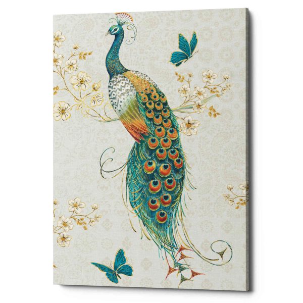 Ornate Peacock XA  by Daphne Brissonet, Canvas Wall Art Online Hot Sale