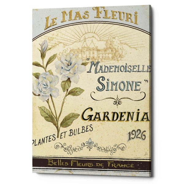 French Seed Packet IV  by Daphne Brissonet, Canvas Wall Art For Sale