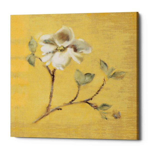 Dogwood Blossom on Gold  by Cheri Blum, Canvas Wall Art For Discount