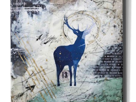 Wanderer s Spirit  by Britt Hallowell, Canvas Wall Art Sale