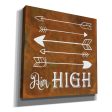 Aim High  by Britt Hallowell, Canvas Wall Art For Sale