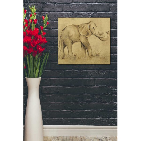 Global Elephant Light Crop  by Cheri Blum, Canvas Wall Art Online Sale