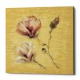 Magnolia Blossom on Gold  by Cheri Blum, Canvas Wall Art Cheap