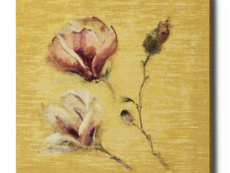 Magnolia Blossom on Gold  by Cheri Blum, Canvas Wall Art Cheap