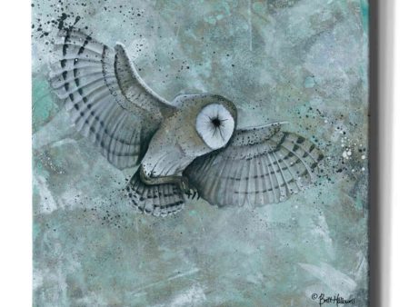 Simplicity Owl  by Britt Hallowell, Canvas Wall Art Online now