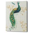 Ornate Peacock IXA  by Daphne Brissonet, Canvas Wall Art Sale