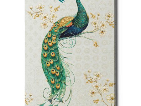 Ornate Peacock IXA  by Daphne Brissonet, Canvas Wall Art Sale