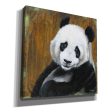 Panda Smile  by Britt Hallowell, Canvas Wall Art Supply