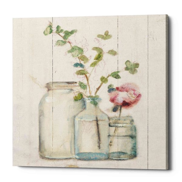 Blossoms on Birch IV  by Cheri Blum, Canvas Wall Art Discount