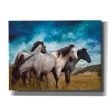 Starry Night Horse Herd  by Bluebird Barn, Canvas Wall Art Cheap