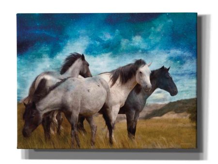 Starry Night Horse Herd  by Bluebird Barn, Canvas Wall Art Cheap