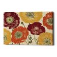 A Poppys Touch I Spice  by Daphne Brissonet, Canvas Wall Art For Sale