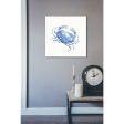 Maritime X  by Daphne Brissonet, Canvas Wall Art Discount