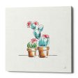 Desert Bloom V  by Daphne Brissonet, Canvas Wall Art Supply