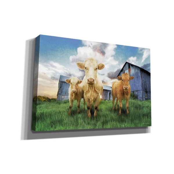 Three Curious Calves  by Bluebird Barn, Canvas Wall Art For Discount