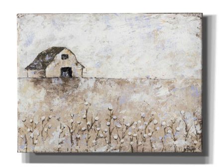 Cotton Farms  by Britt Hallowell, Canvas Wall Art For Sale