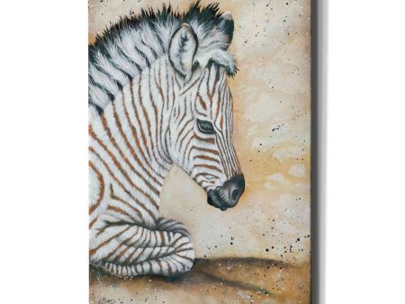 Savannah Baby  by Britt Hallowell, Canvas Wall Art Online Sale