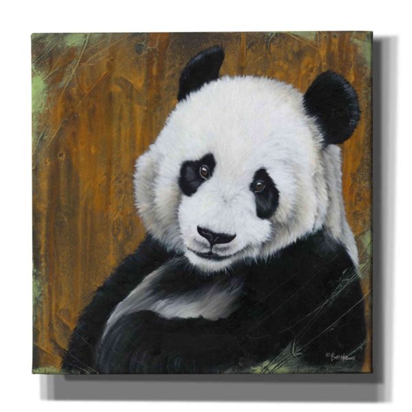 Panda Smile  by Britt Hallowell, Canvas Wall Art Supply