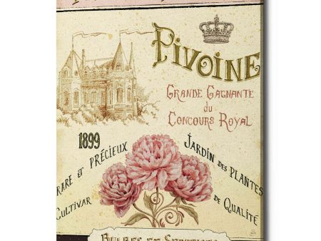 French Seed Packet III  by Daphne Brissonet, Canvas Wall Art Supply