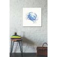 Maritime X  by Daphne Brissonet, Canvas Wall Art Discount