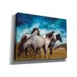 Starry Night Horse Herd  by Bluebird Barn, Canvas Wall Art Cheap