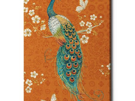 Ornate Peacock X Spice  by Daphne Brissonet, Canvas Wall Art Sale