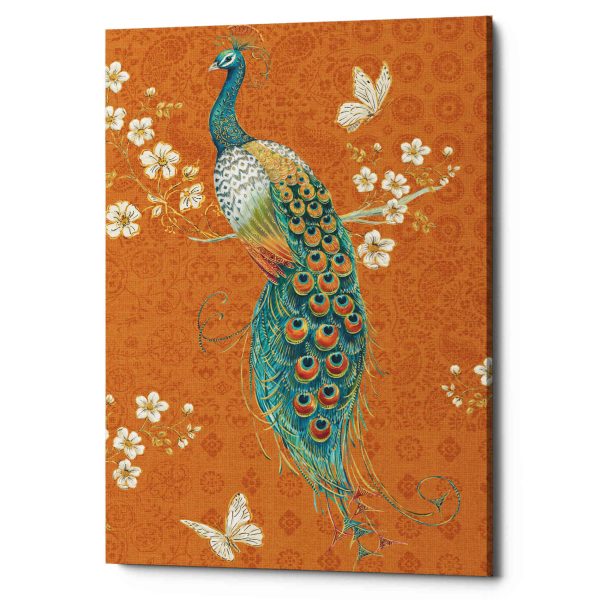 Ornate Peacock X Spice  by Daphne Brissonet, Canvas Wall Art Sale