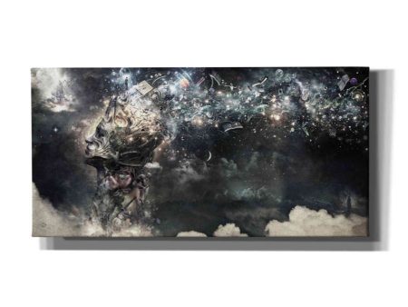 Coma  by Cameron Gray, Canvas Wall Art For Discount