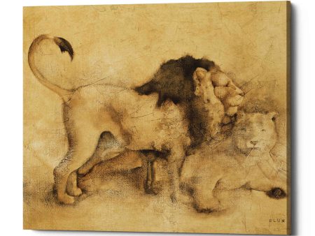 Global Lions Light Crop  by Cheri Blum, Canvas Wall Art For Sale