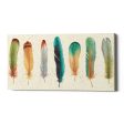 Feather Tales VII  by Daphne Brissonet, Canvas Wall Art For Cheap