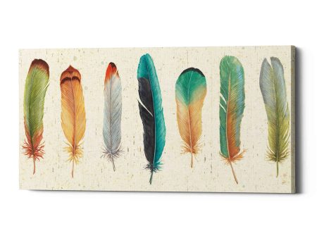 Feather Tales VII  by Daphne Brissonet, Canvas Wall Art For Cheap