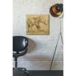 Global Elephant Light Crop  by Cheri Blum, Canvas Wall Art Online Sale