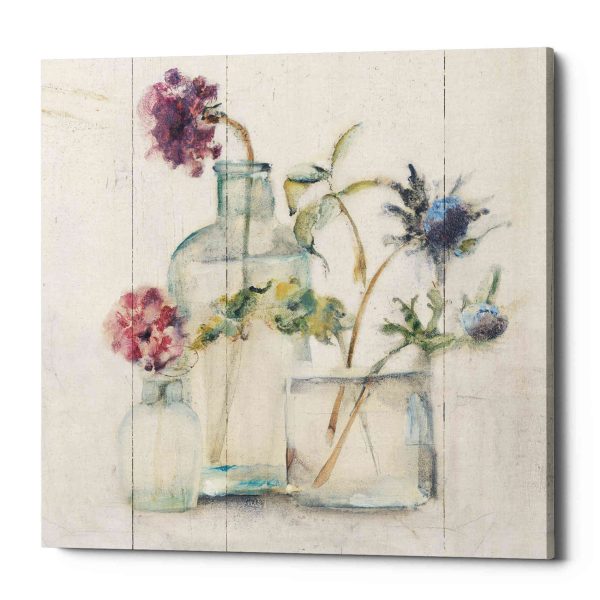 Blossoms on Birch II  by Cheri Blum, Canvas Wall Art Discount