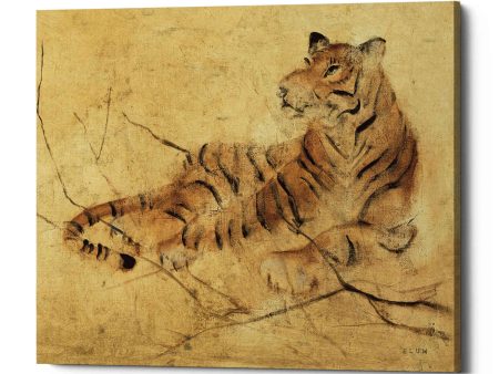 Global Tiger Light Crop  by Cheri Blum, Canvas Wall Art Cheap