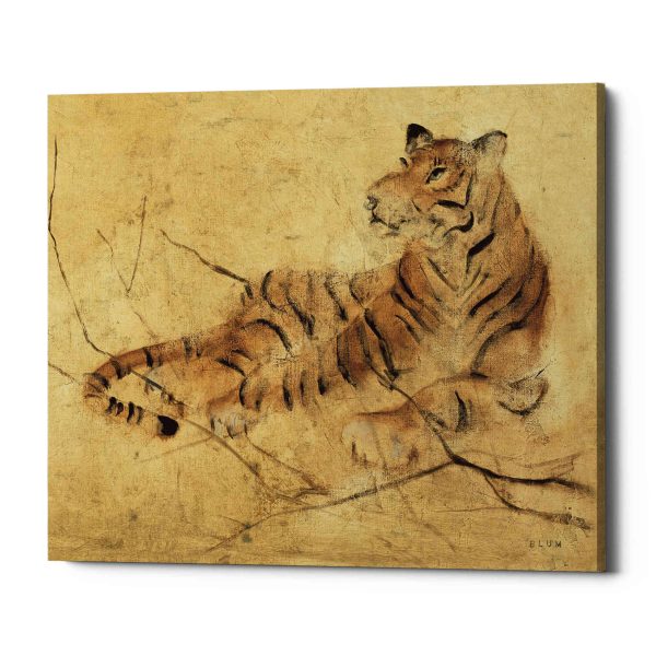 Global Tiger Light Crop  by Cheri Blum, Canvas Wall Art Cheap